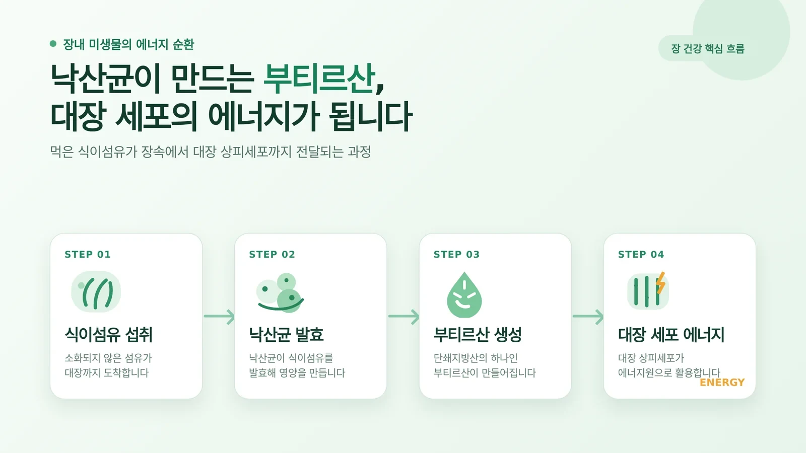 낙산균 다이어트 확인 안내 이미지