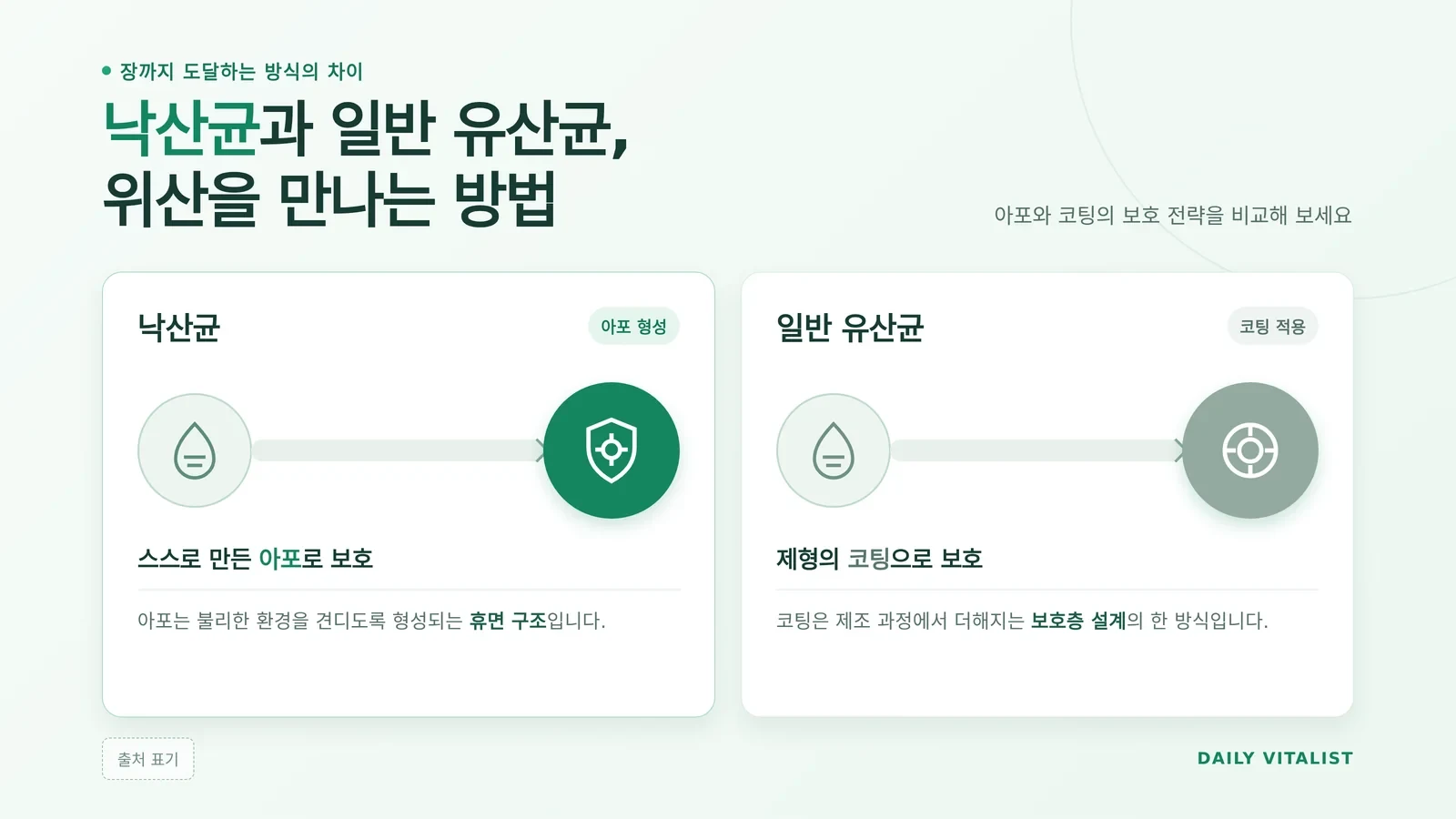 낙산균 가격 관련 생활 정보 이미지