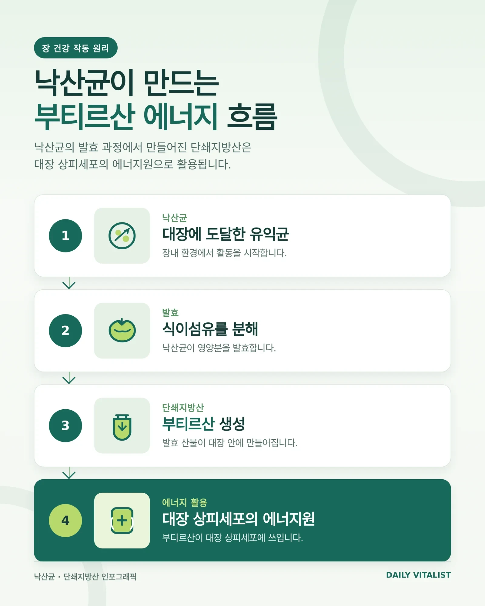 낙산균 종류 관련 생활 정보 이미지